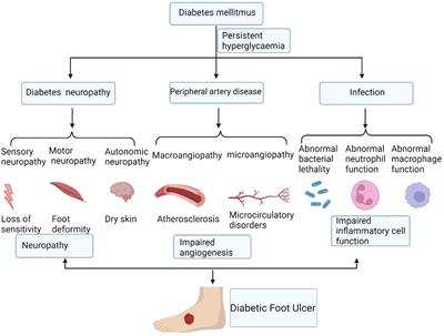 The role of adipose-derived stem cells-derived extracellular vesicles in the treatment of diabetic foot ulcer: Trends and prospects